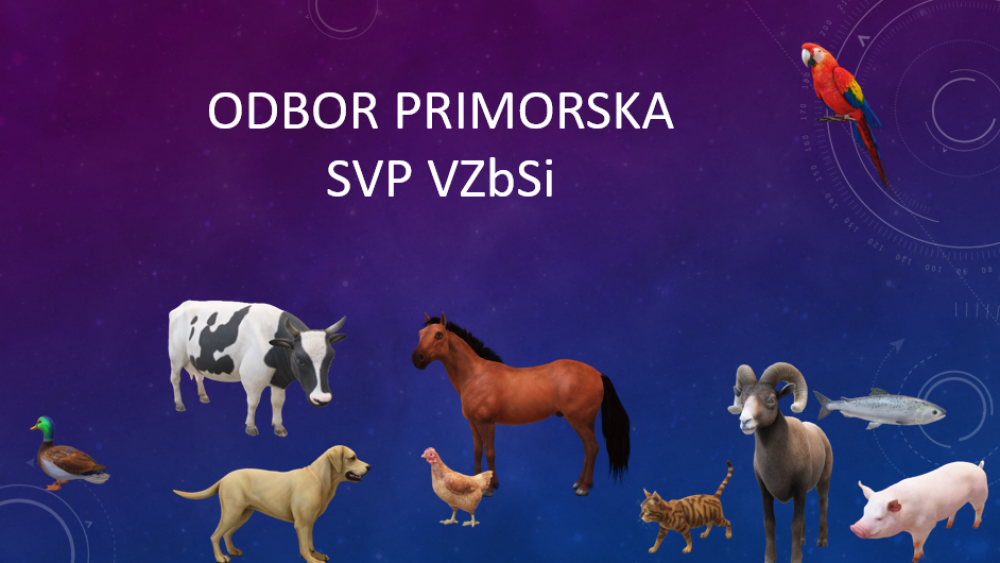 Sestanek Sekcije veterinarjev praktikov VZbSi, Odbor Primorska