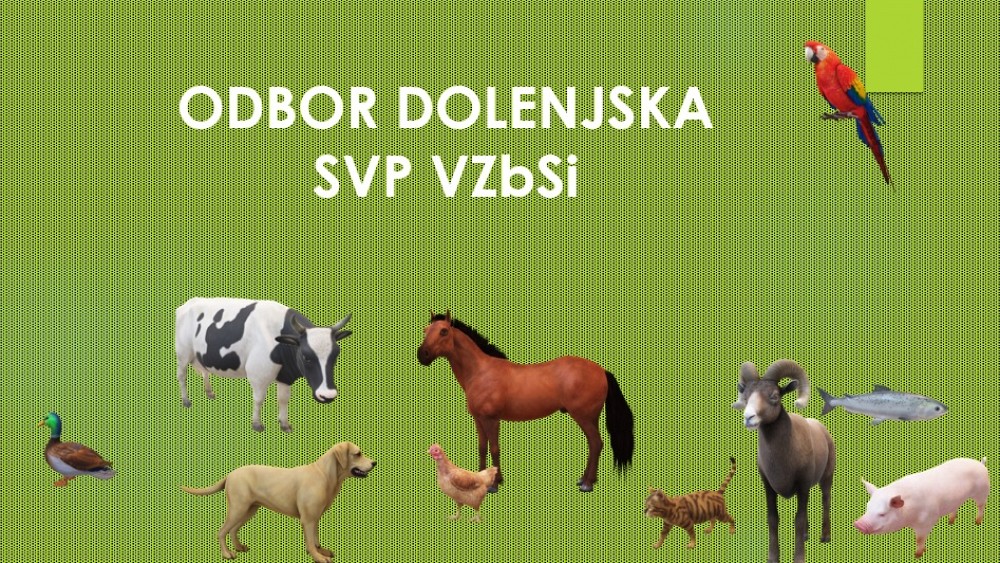 Sestanek Sekcije veterinarjev praktikov VZbSi, Odbor Dolenjska