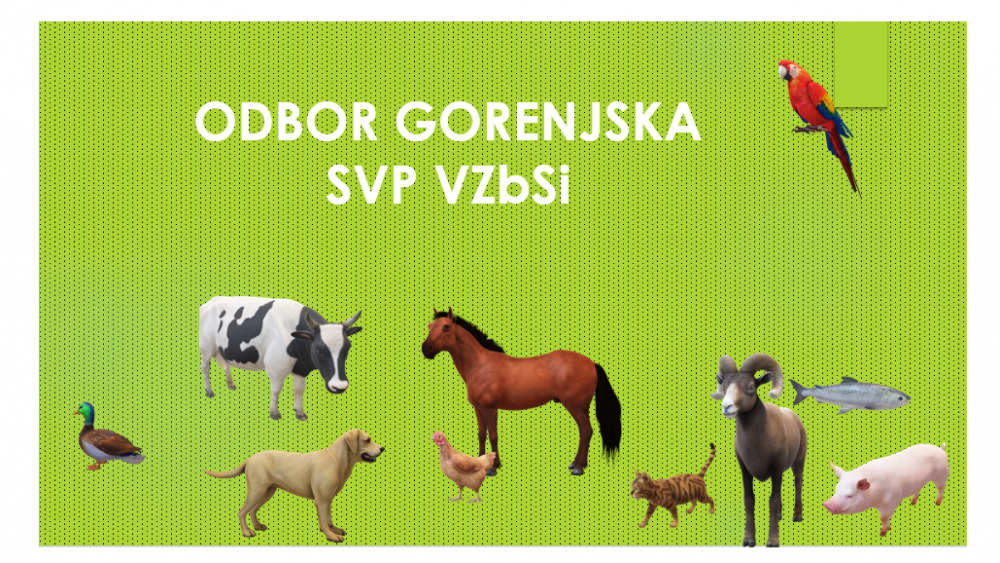 Sestanek Sekcije veterinarjev praktikov VZbSi, GORENJSKA