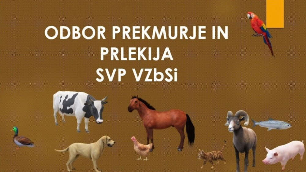 Sklic Odbora SVP Prekmurje - Prlekija