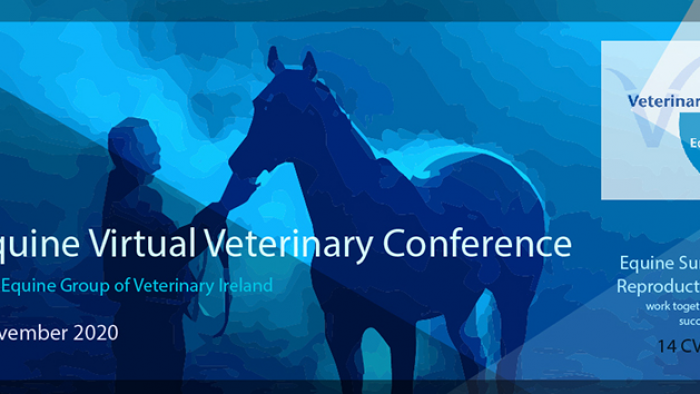 VIRTUALNA Irska veterinarska konferenca - konji 2020 
