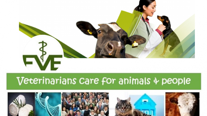 FVE: Projekt DISARM, prevoz živali, nastajajoča tveganja, AMR in reja živali