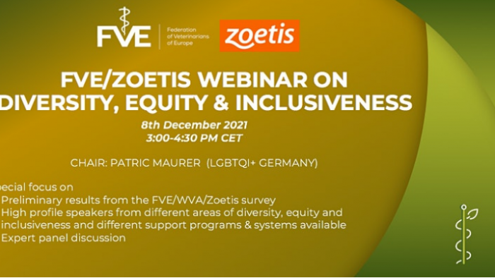 The FVE/Zoetis diversity, equity and inclusiveness (DEI) webinar