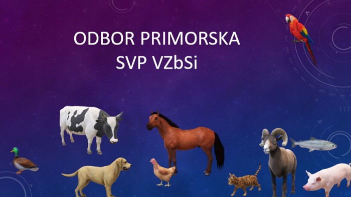Sklic Odbora SVP Primorska