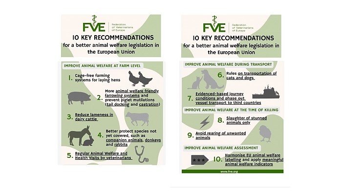 FVE 10 ključnih priporočil za boljše počutje živali